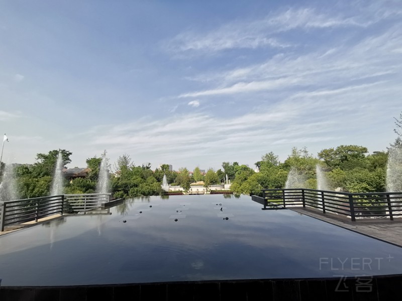 IMG_20190703_162120.jpg
