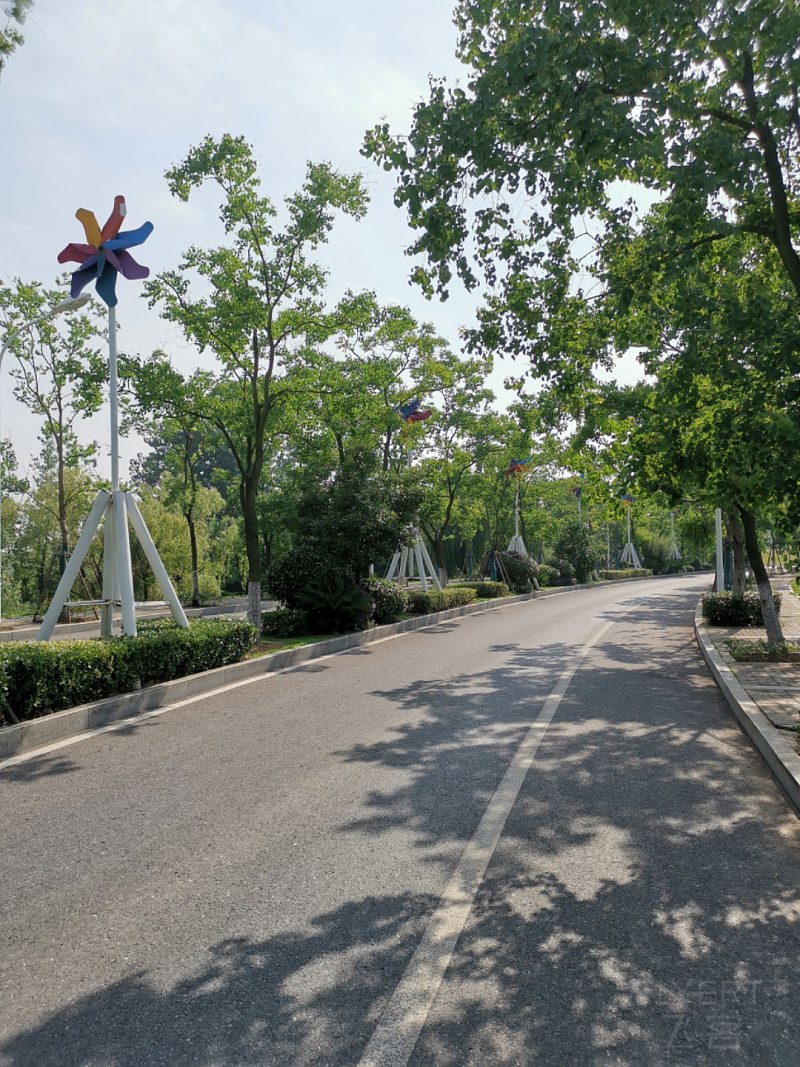 IMG_20190703_161148.jpg