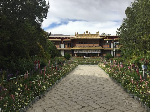 林芝希尔顿简短报告-付西藏旅游行程