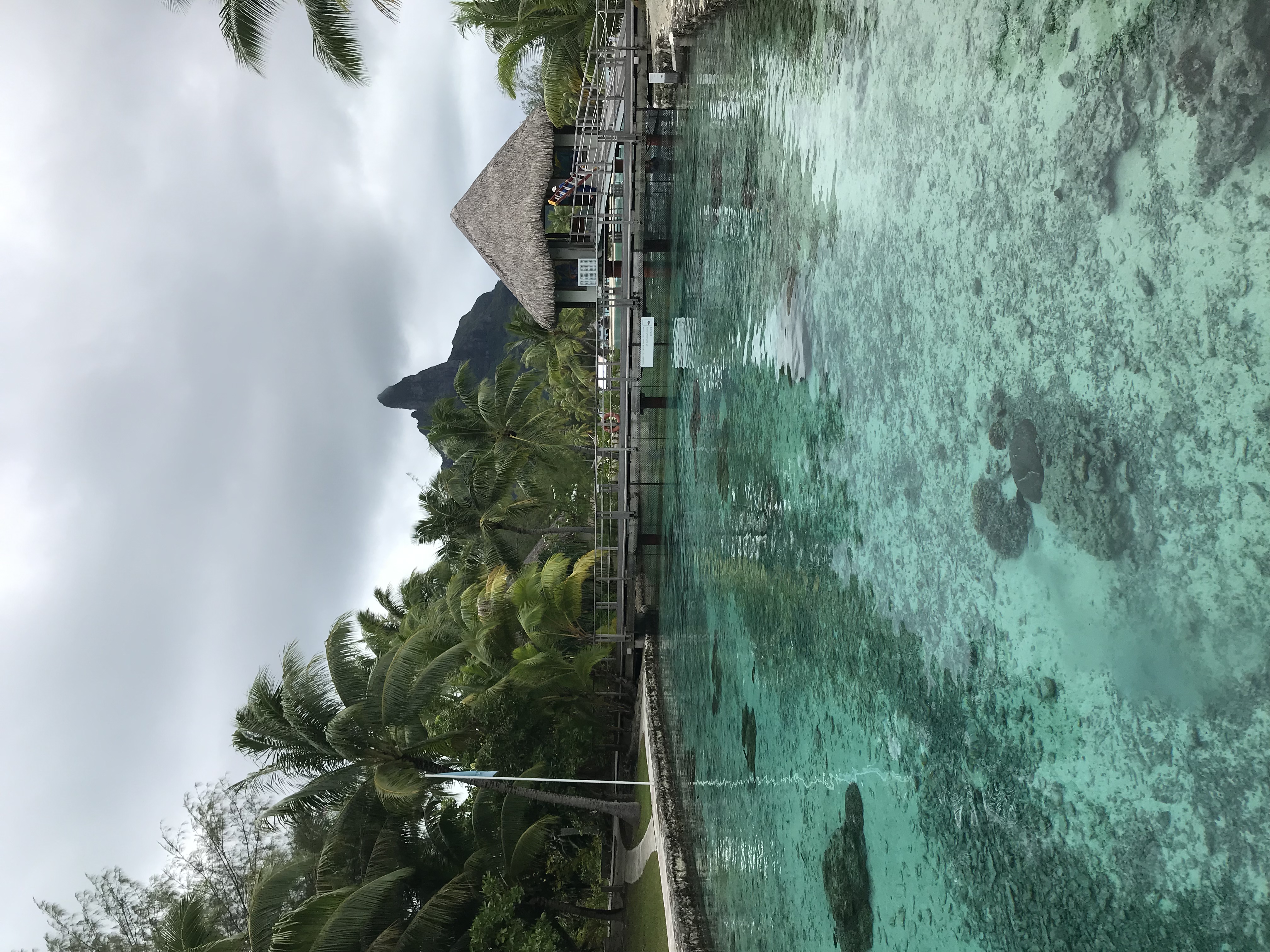 õĽ:Borabora 