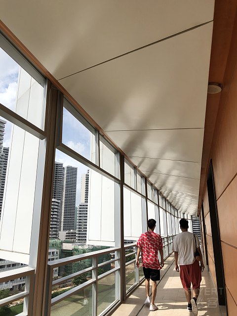 夏天就要去海边—惠州小径湾艾美打卡