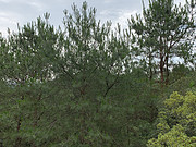 <em>ɶʯ</em>  סһҪײҪ