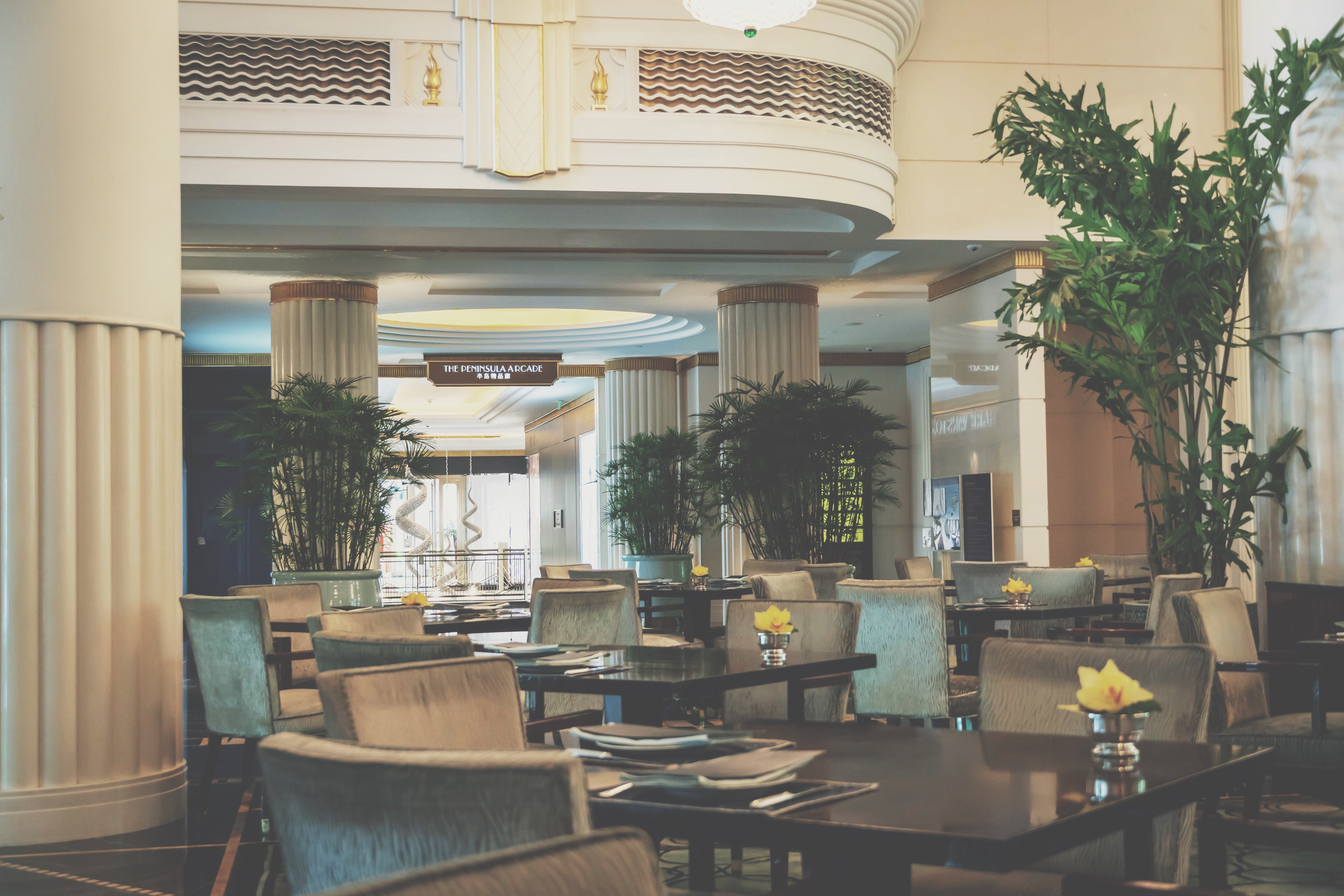 SummerϺ뵺The Peninsula