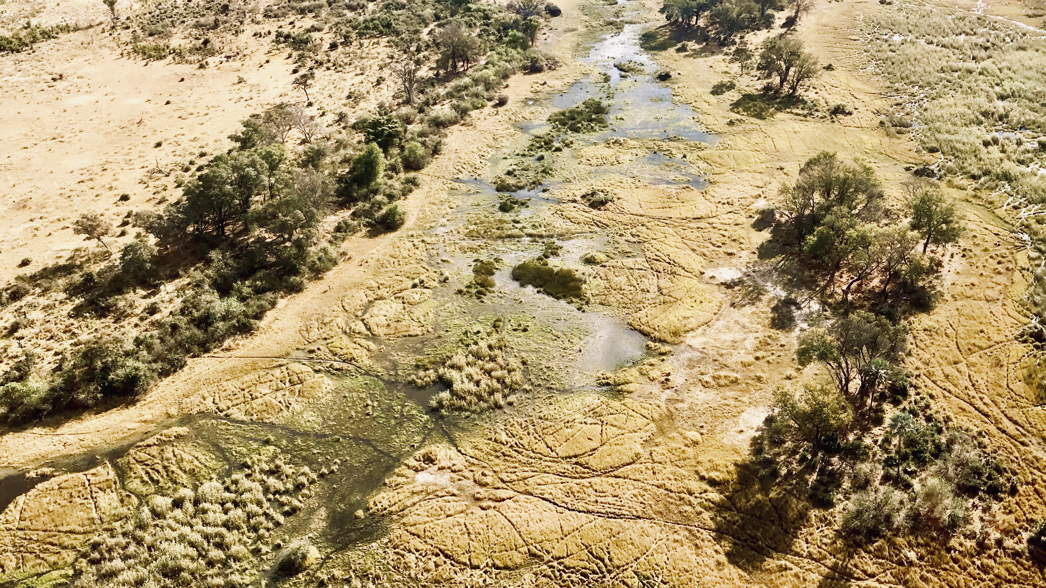 رУ֮ԾOkavango+άٲ