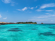 <em>W</em> 2019.7±