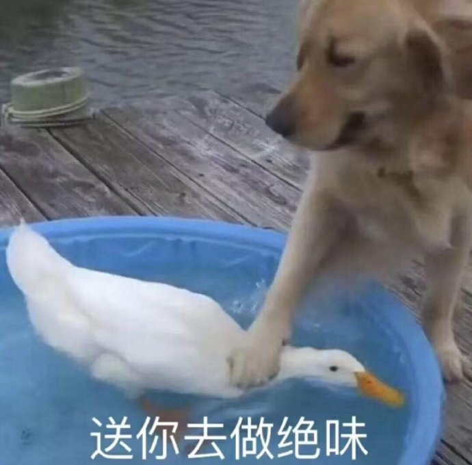 [̽] á