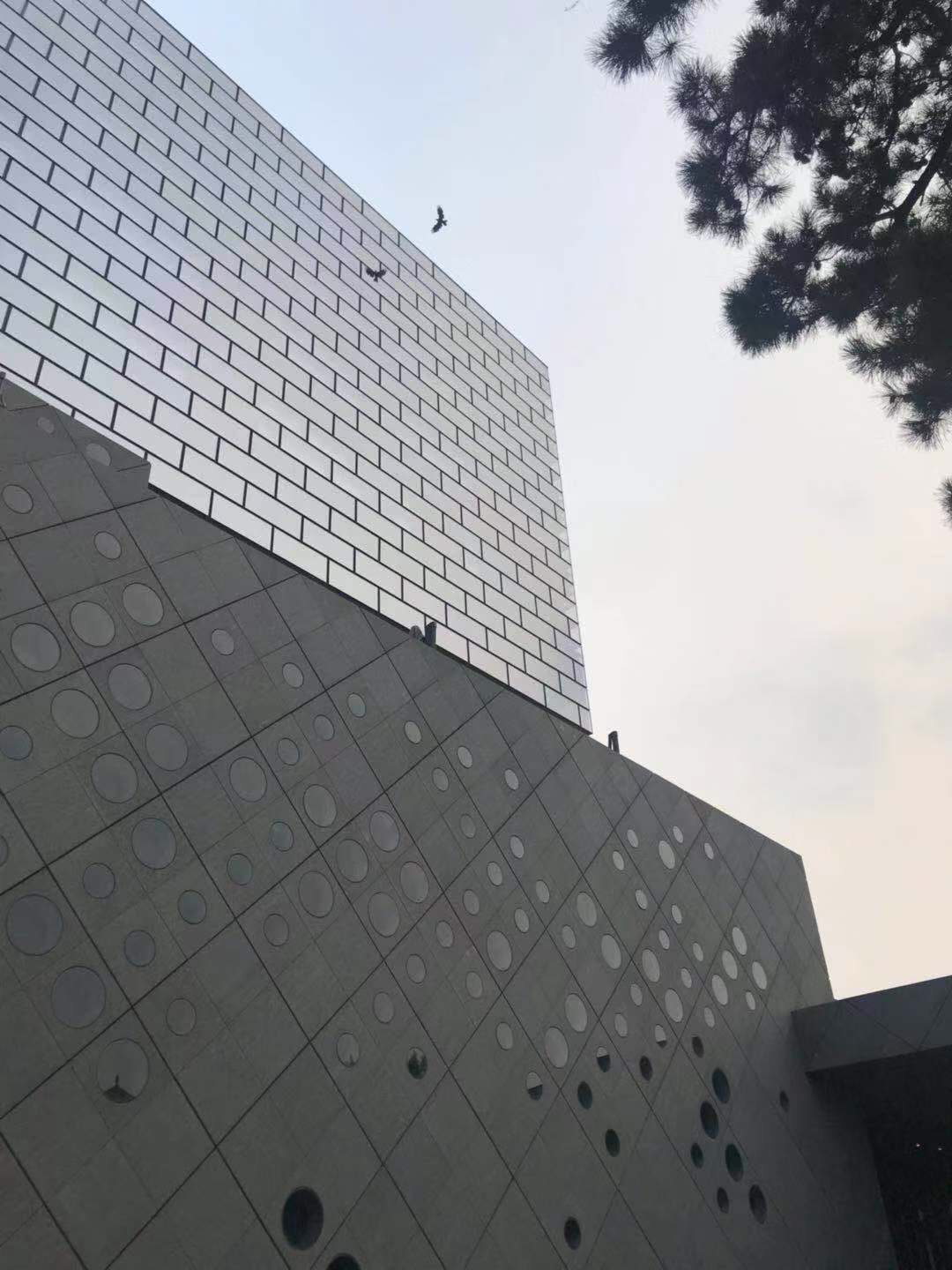  豬uƵס