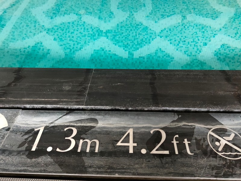IMG20190806075001.jpg