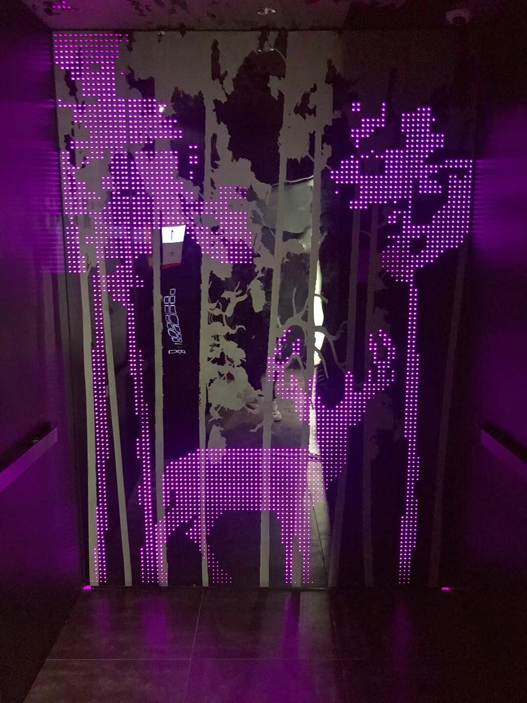 ٽУƪ ֮ Ϻ&Ϻ ³ľ롪ٷ