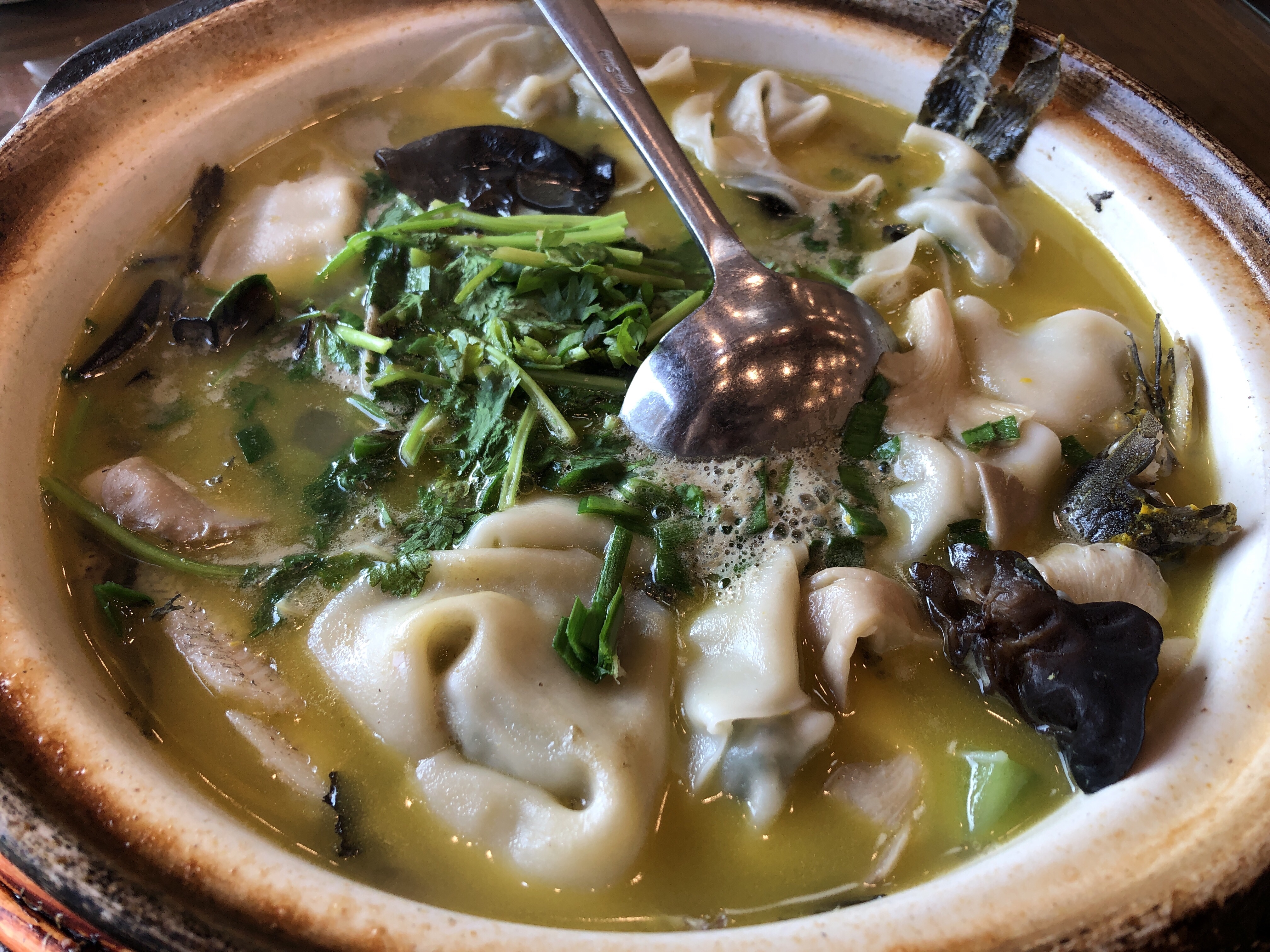 鲻˸