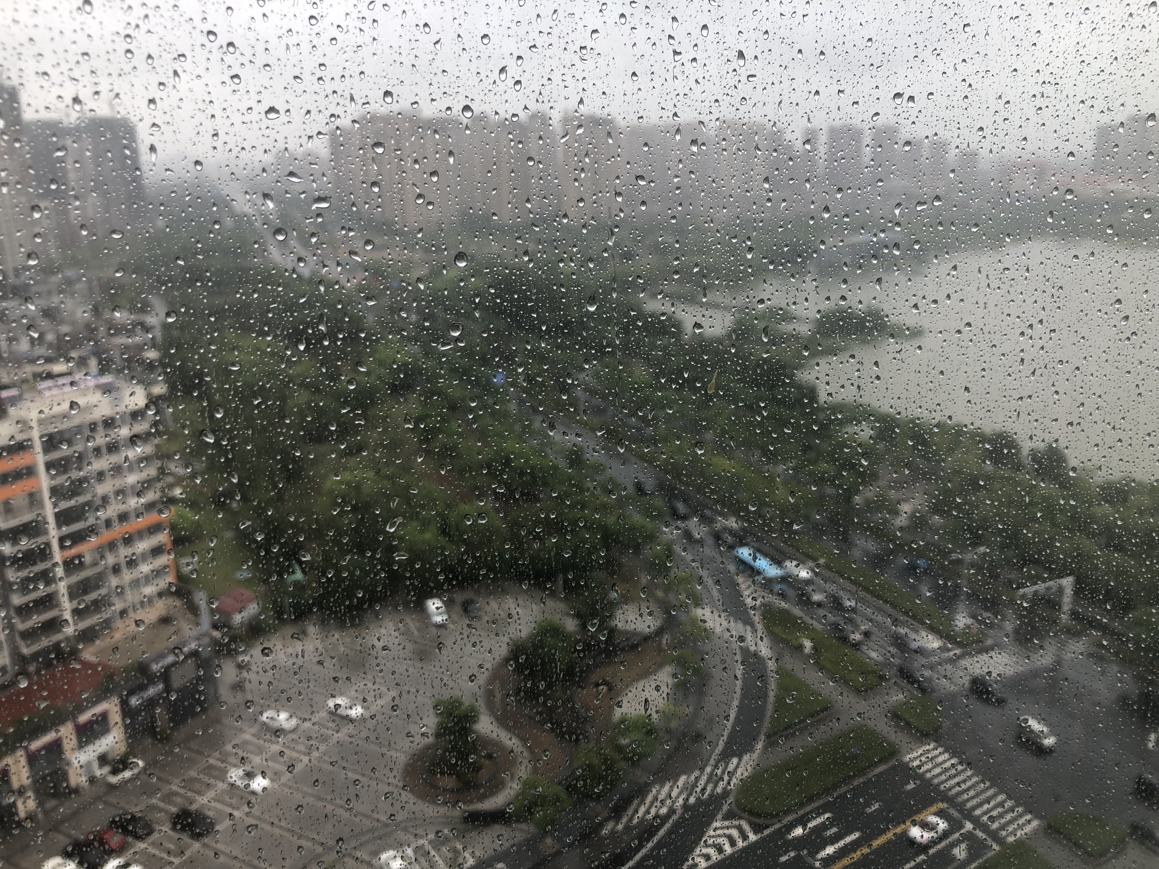 鲻˸
