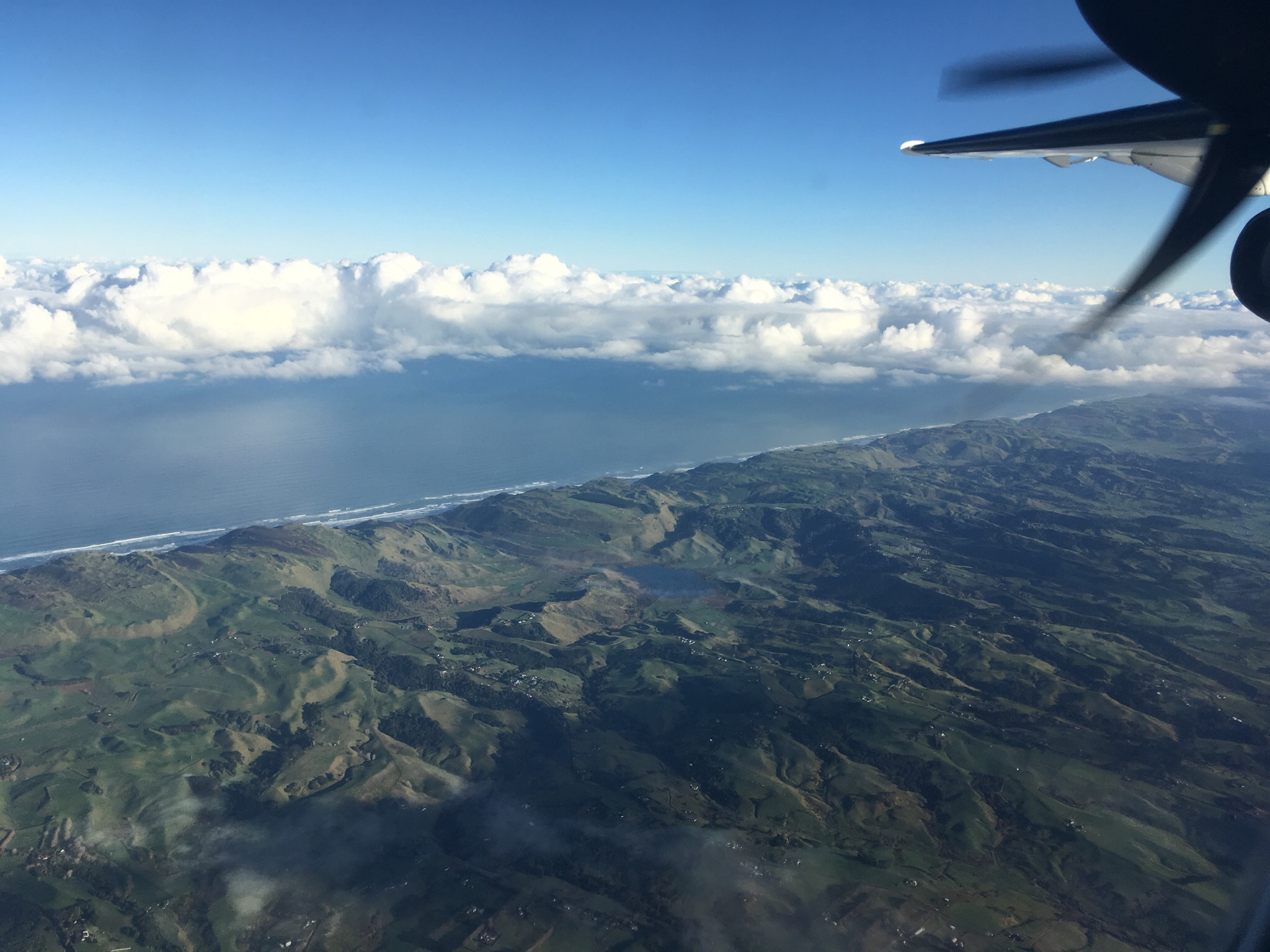 AKL-NSN-WLG ǣˣ¿