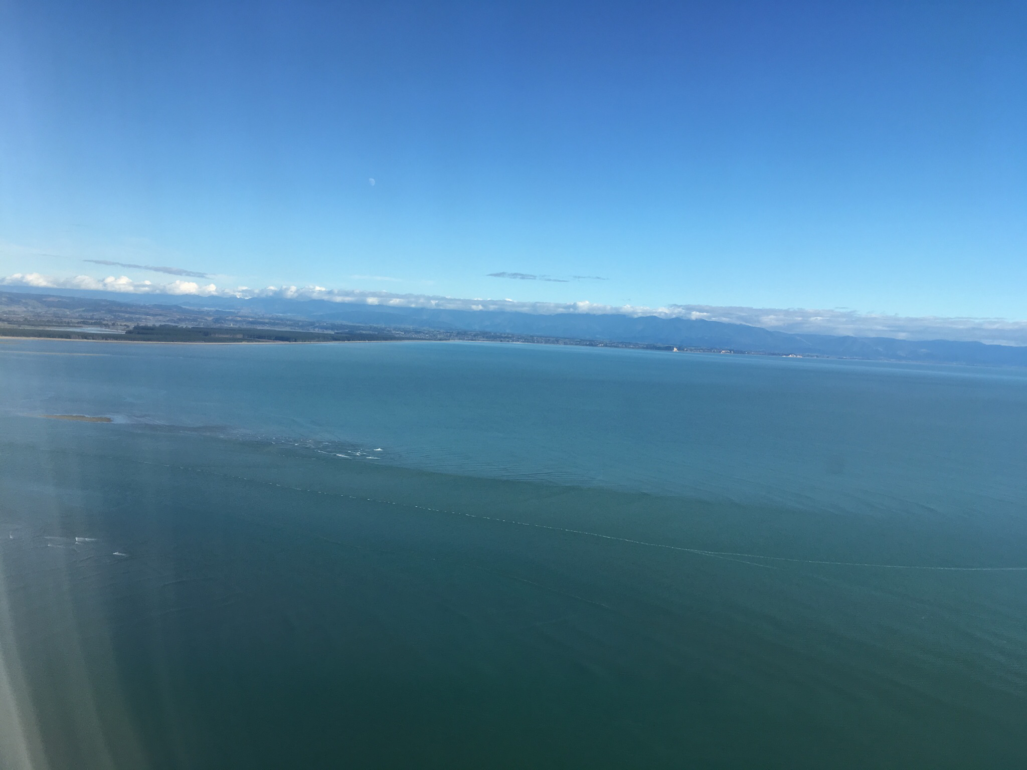 AKL-NSN-WLG ǣˣ¿