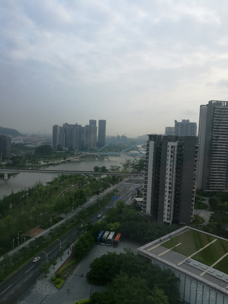 IMG_20190428_072651.jpg