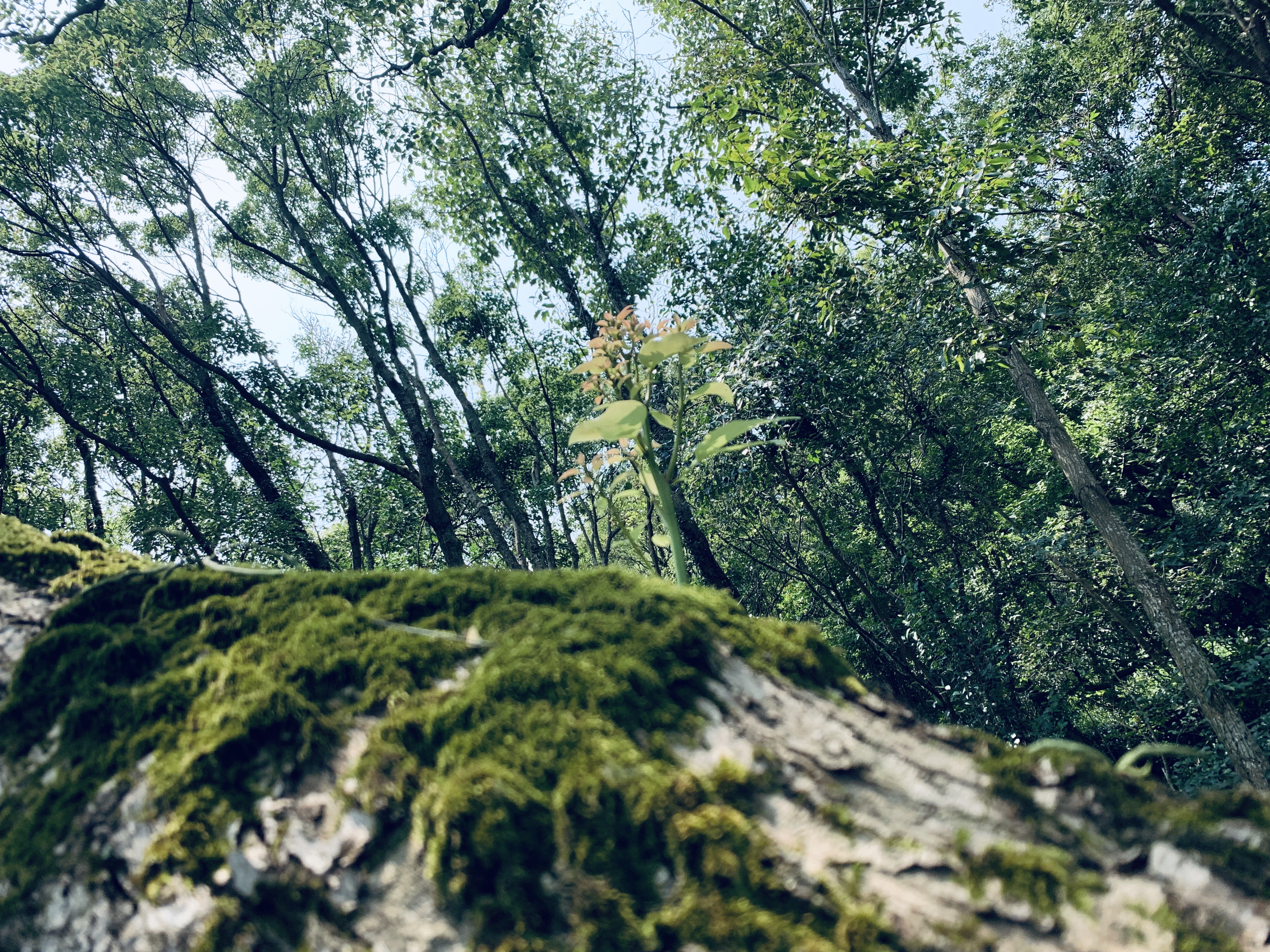 ĩһ˵߾ߵСɽ̳ϲǴ