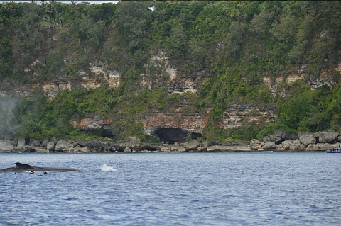 DSC_5006.JPG DSC_5006.JPG