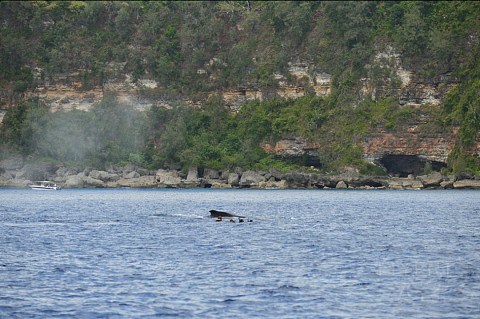 DSC_5008.JPG DSC_5008.JPG