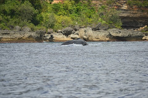 DSC_5022.JPG DSC_5022.JPG