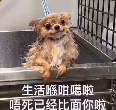 лܷͨң
