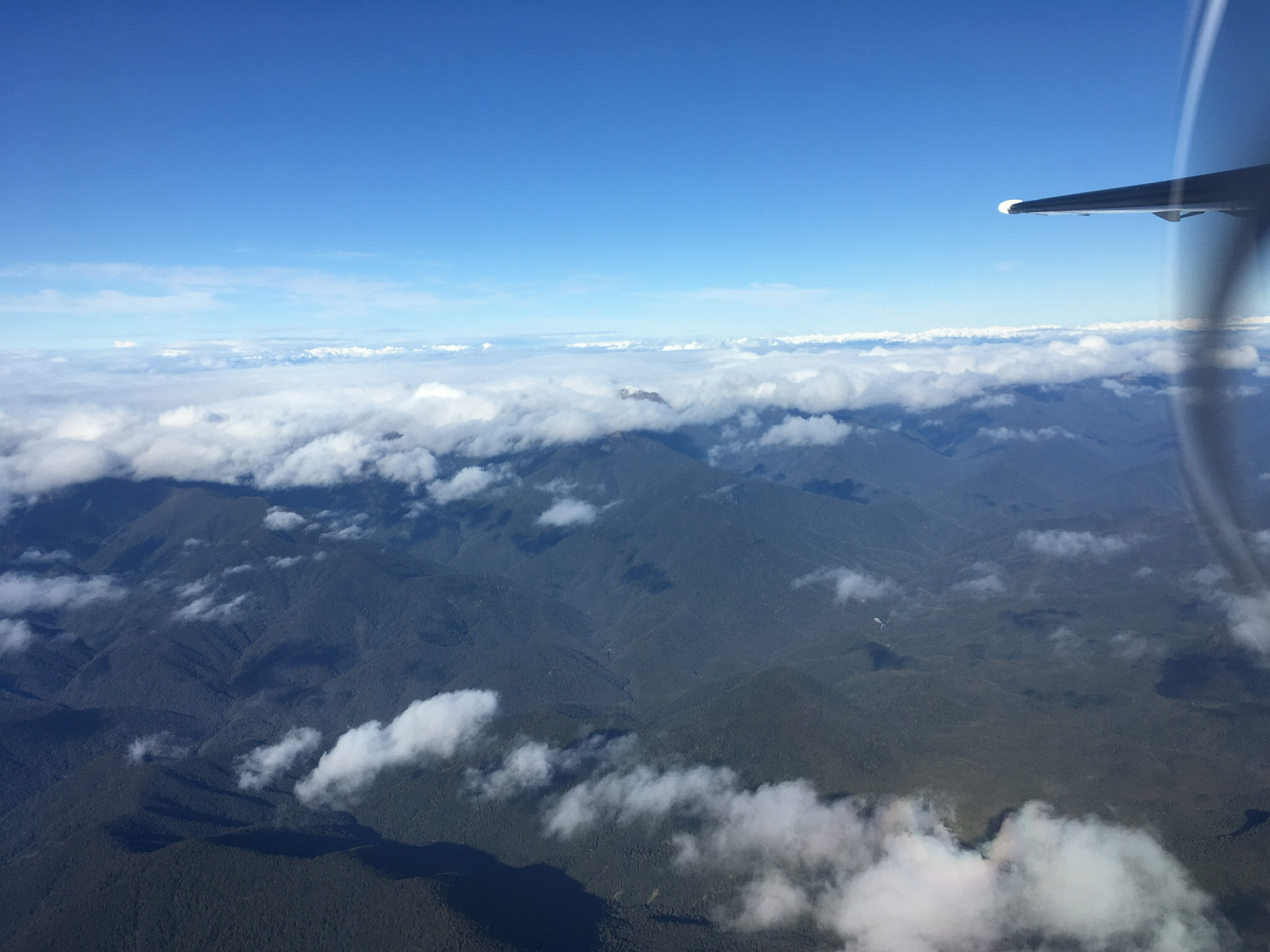 AKL-NSN-WLG ǣˣ¿