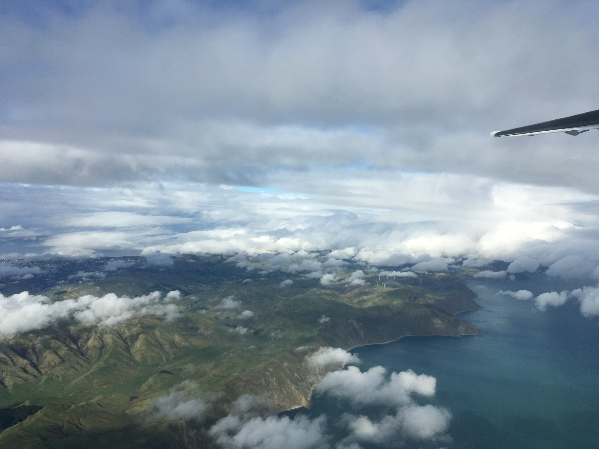 AKL-NSN-WLG ǣˣ¿