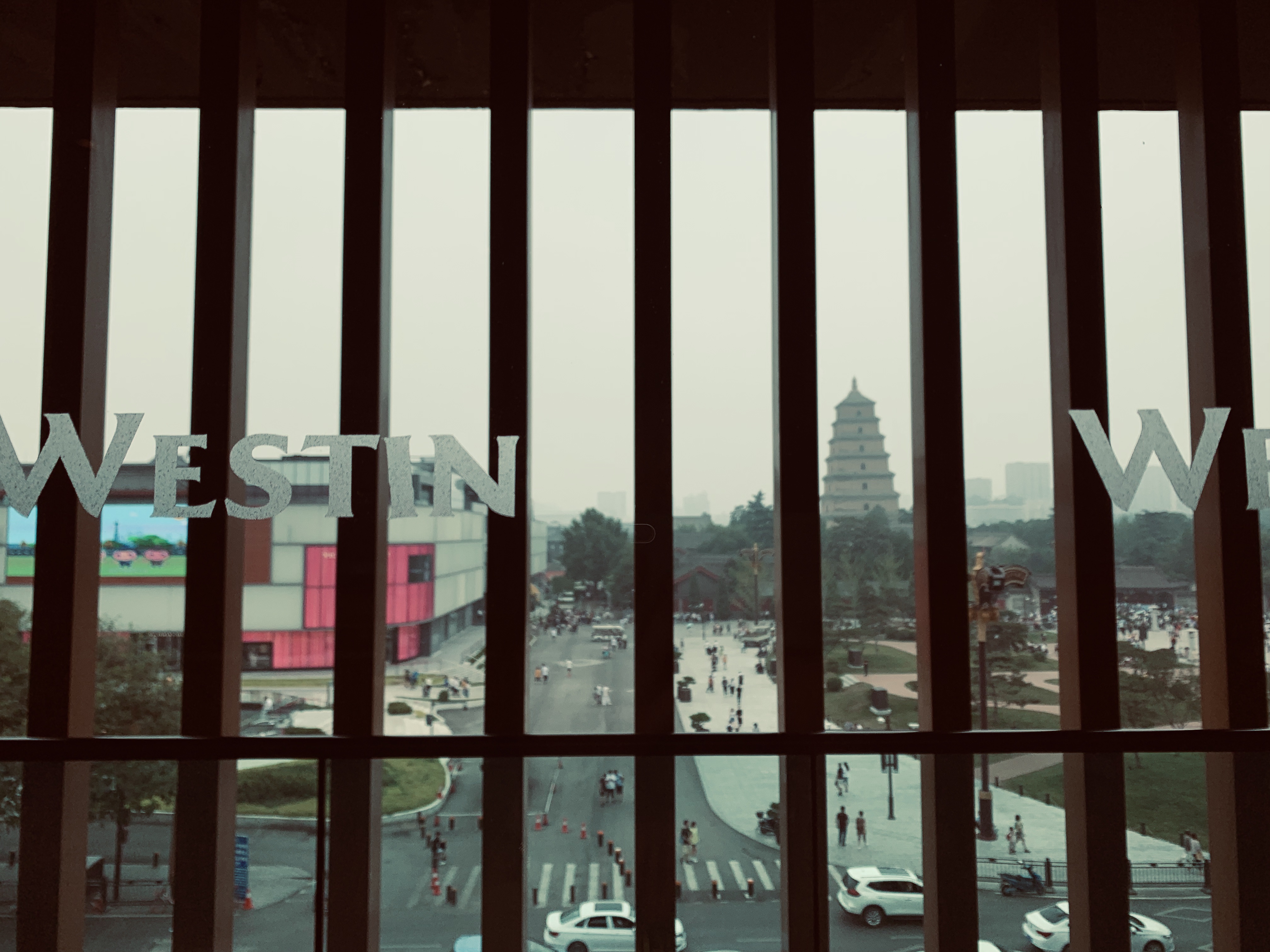 һĨ졪˹͡Ƶ