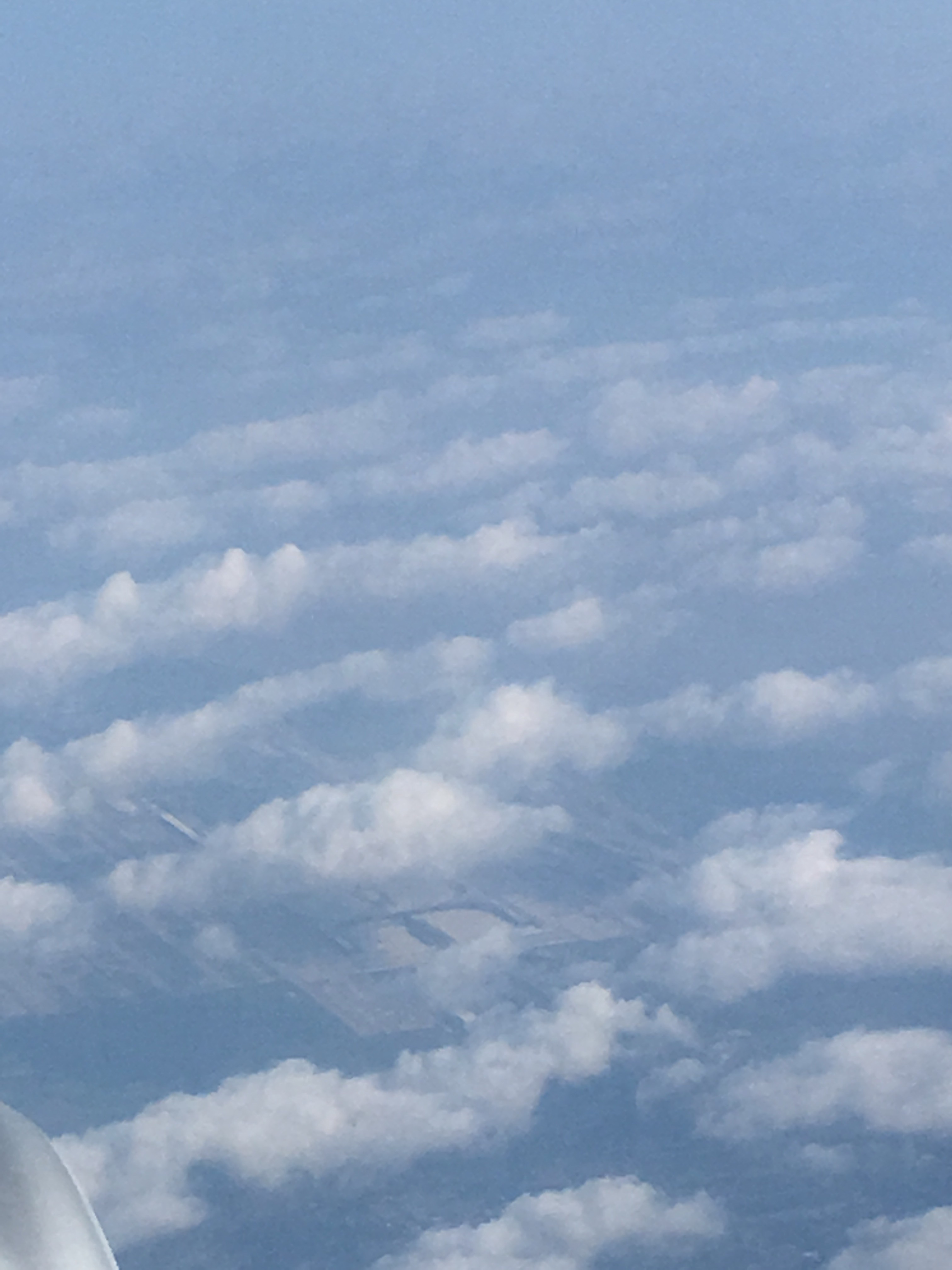 MU511/SHA-GMP 
& FM828/ICN-PVG
²֮