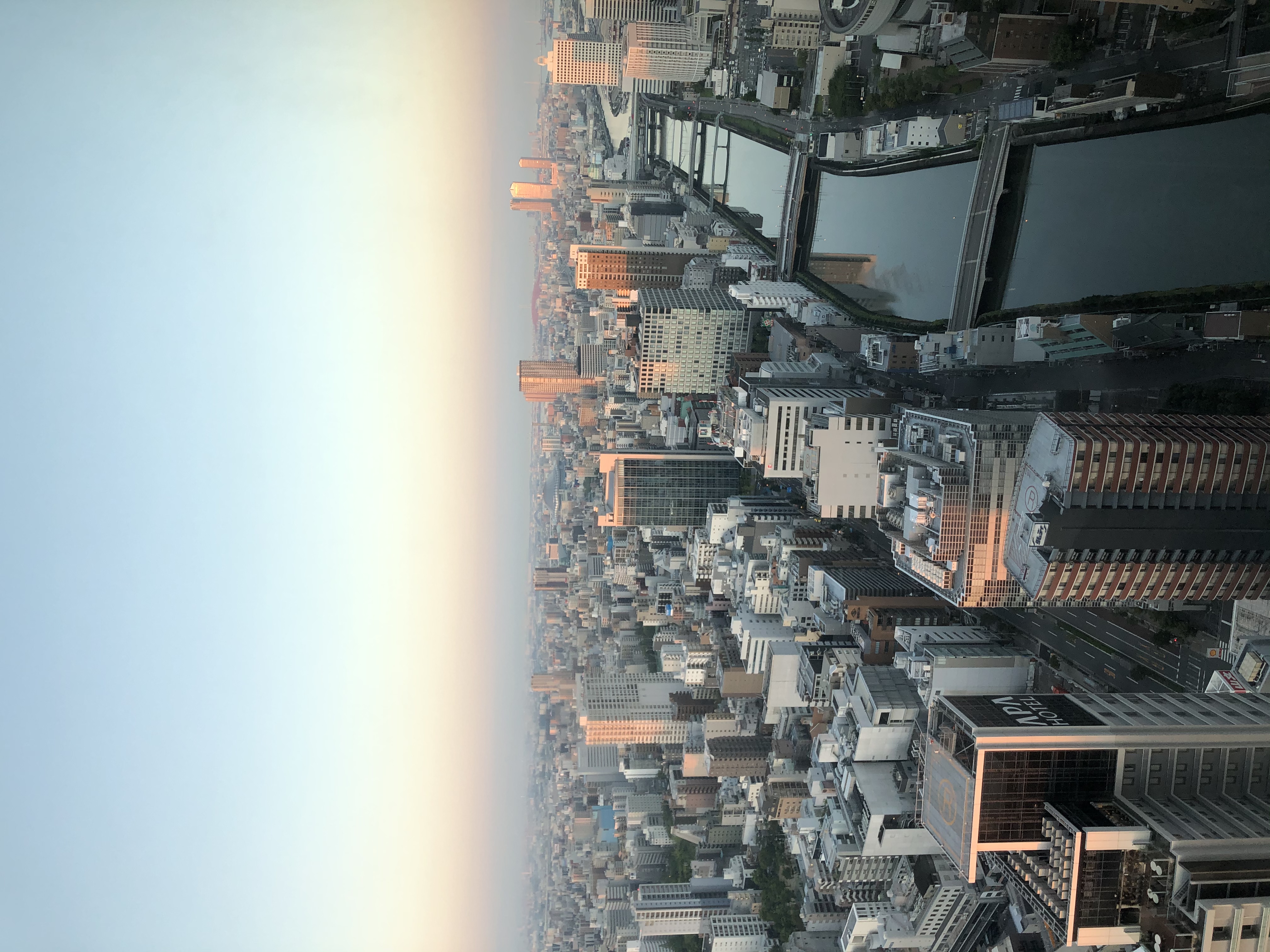 濵´