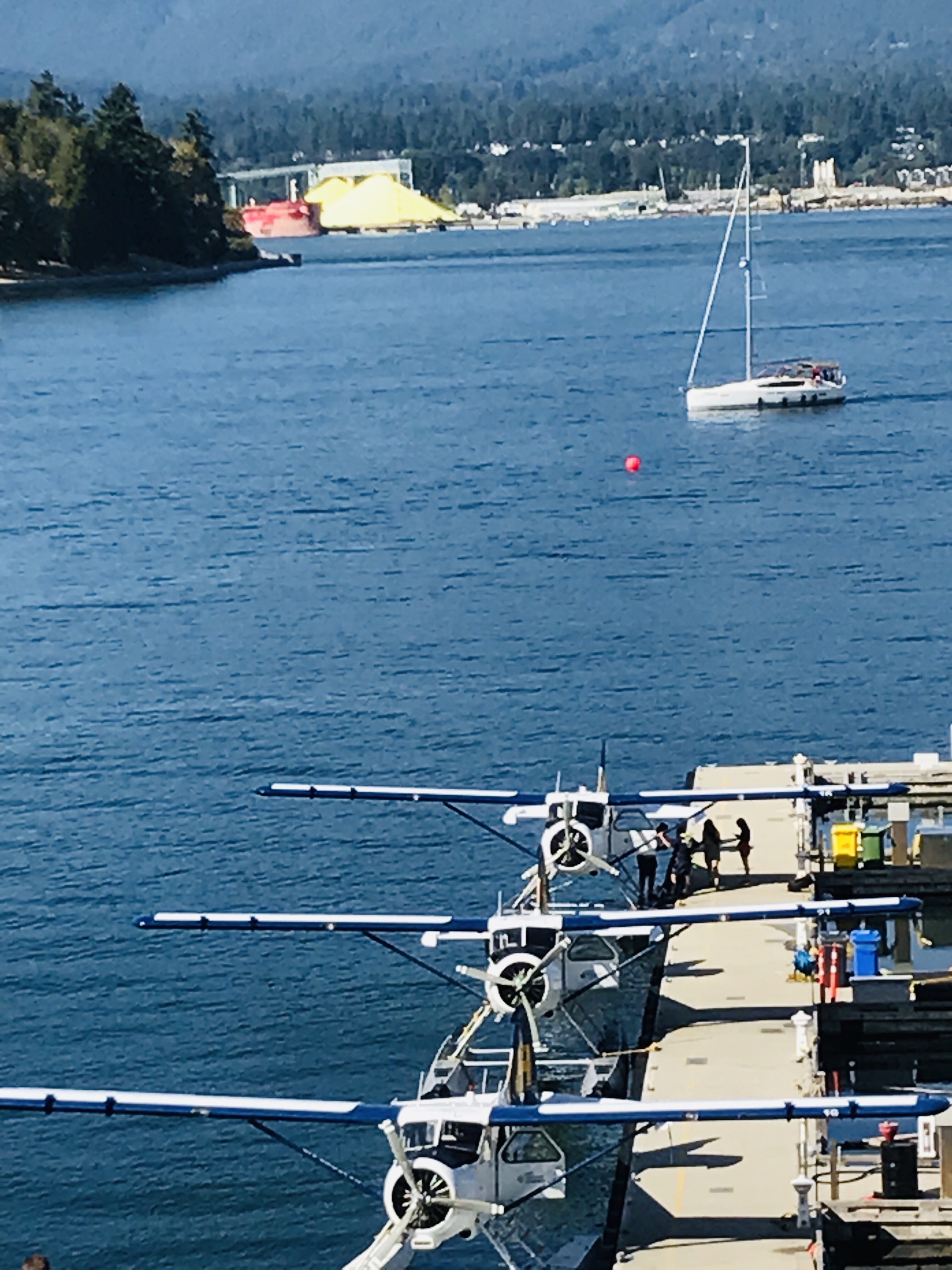ɫĺչ˾Harbour Air (HA)