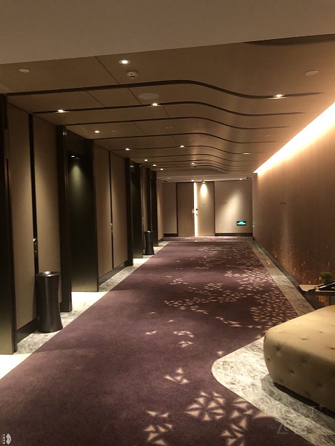 杭州康莱德—钱塘江畔，鼓瑟*