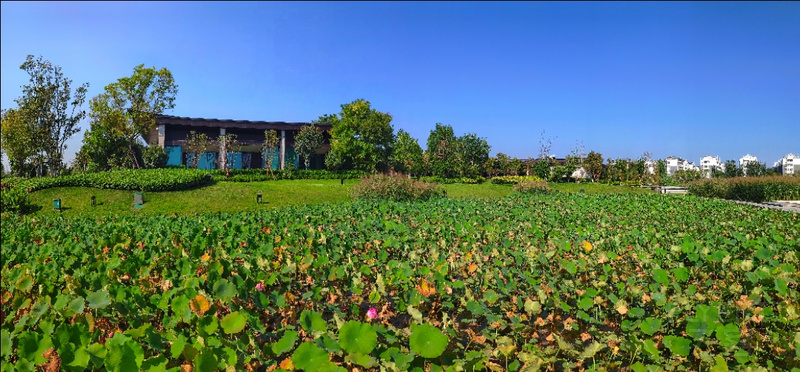 PANO_20190905_152331-01.jpeg PANO_20190905_152331-01.jpeg