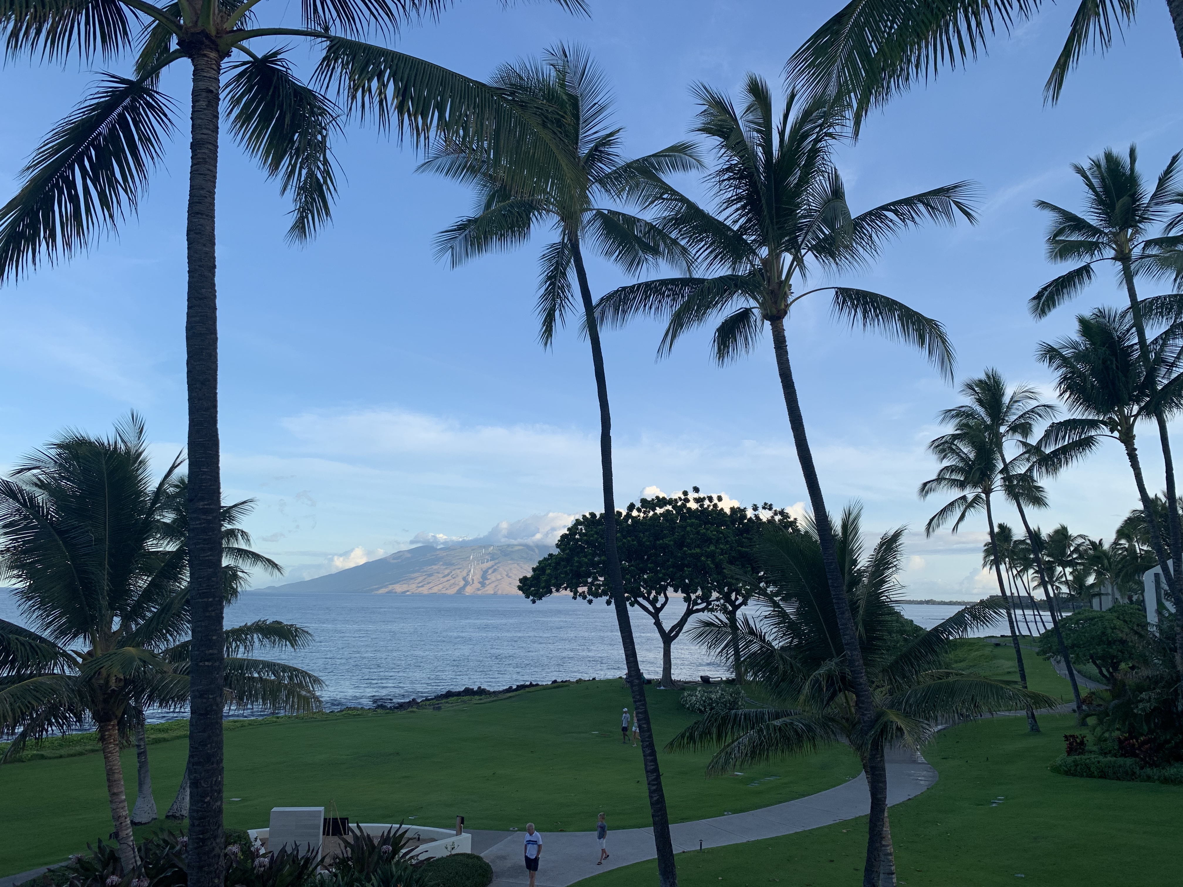 ï˵ wailea