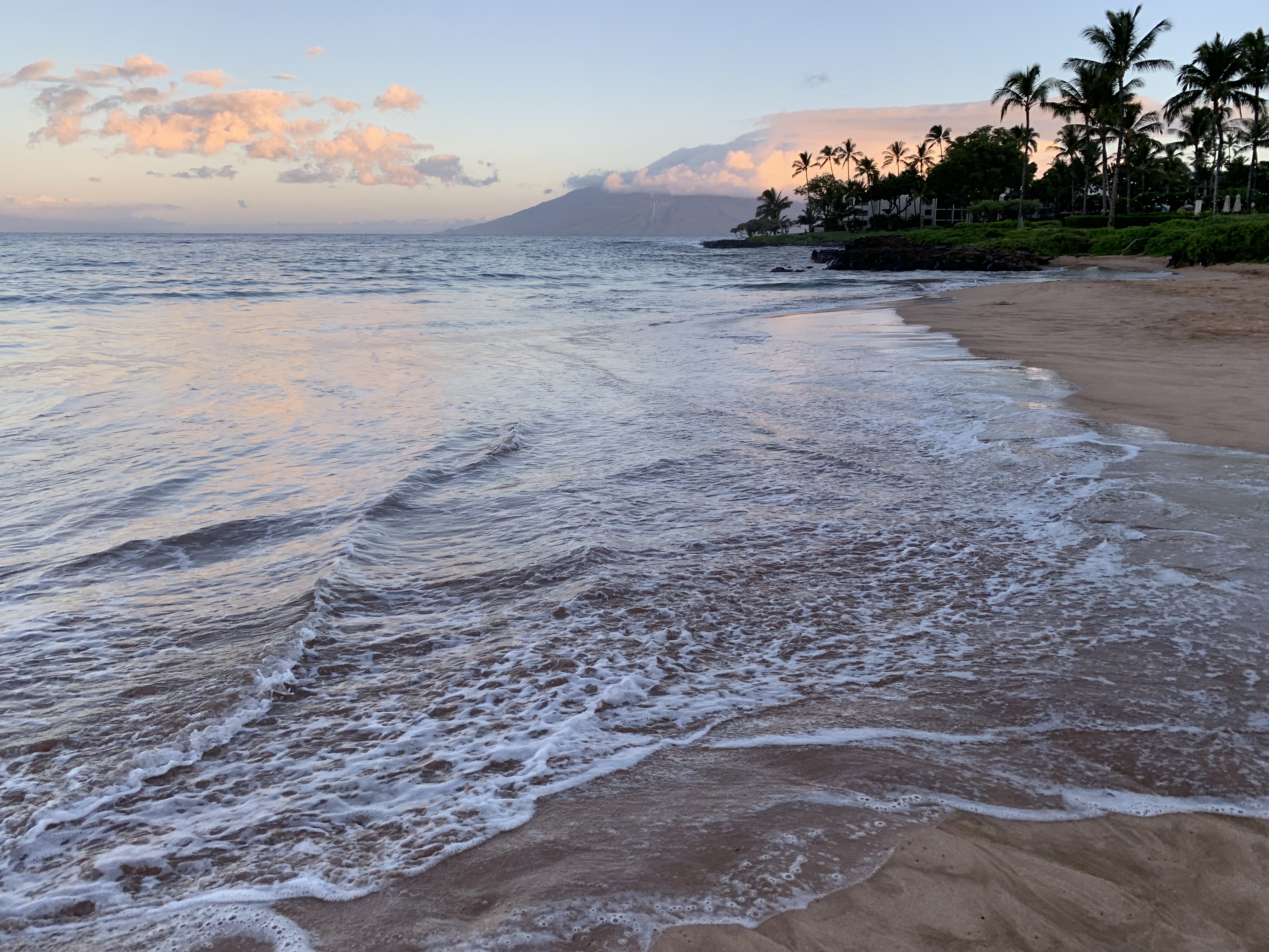 ï˵ wailea