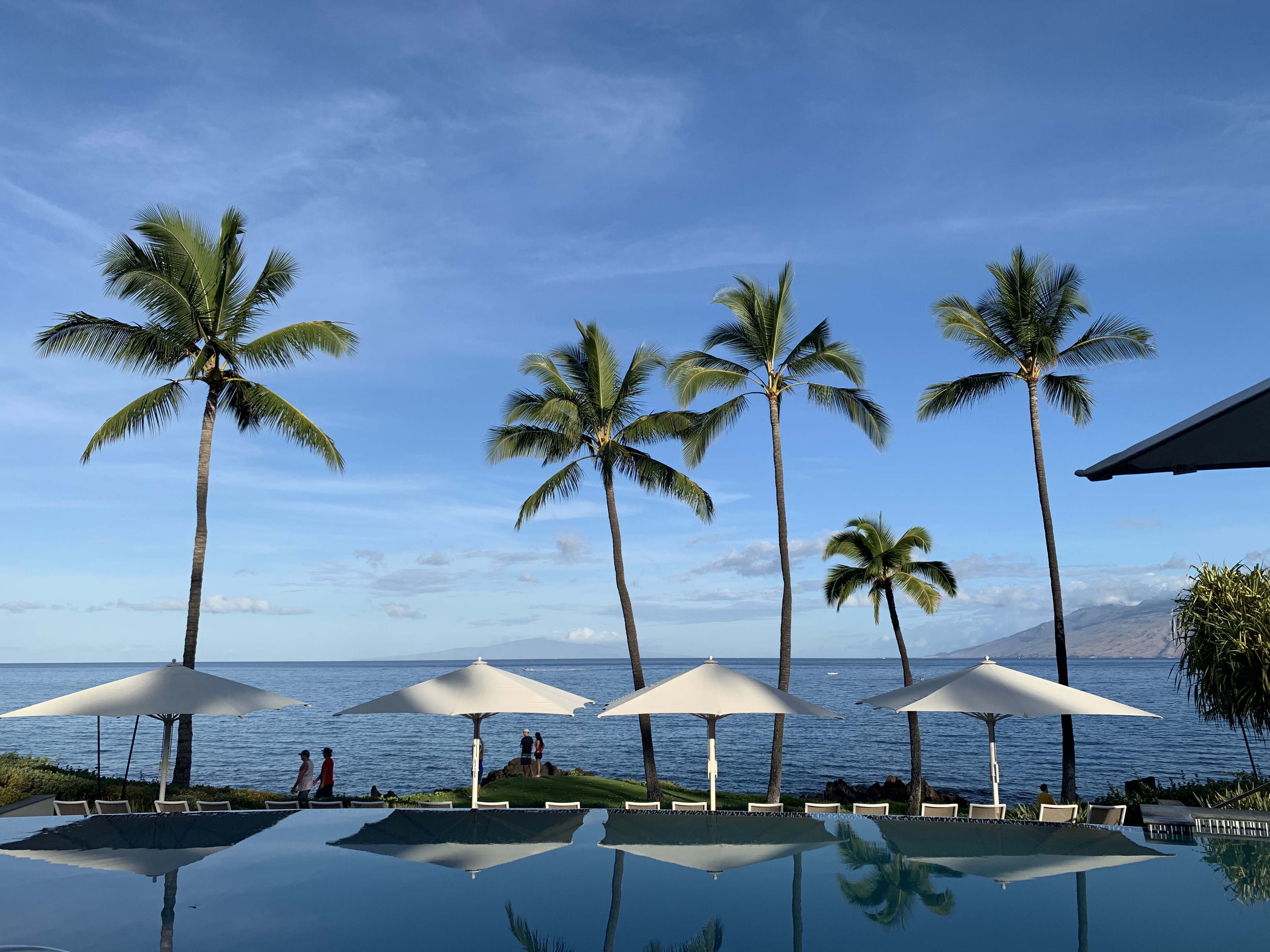 ï˵ wailea
