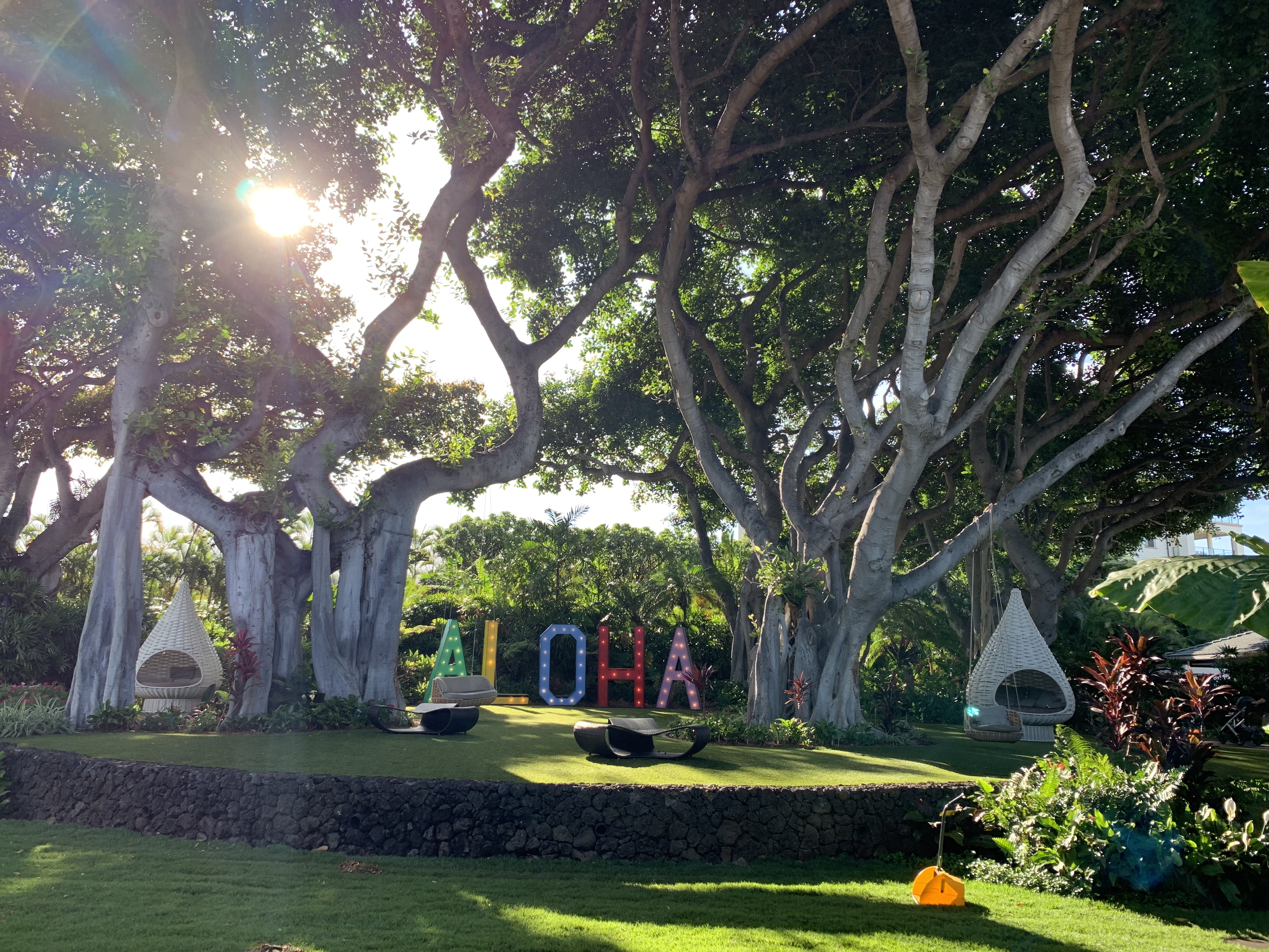ï˵ wailea