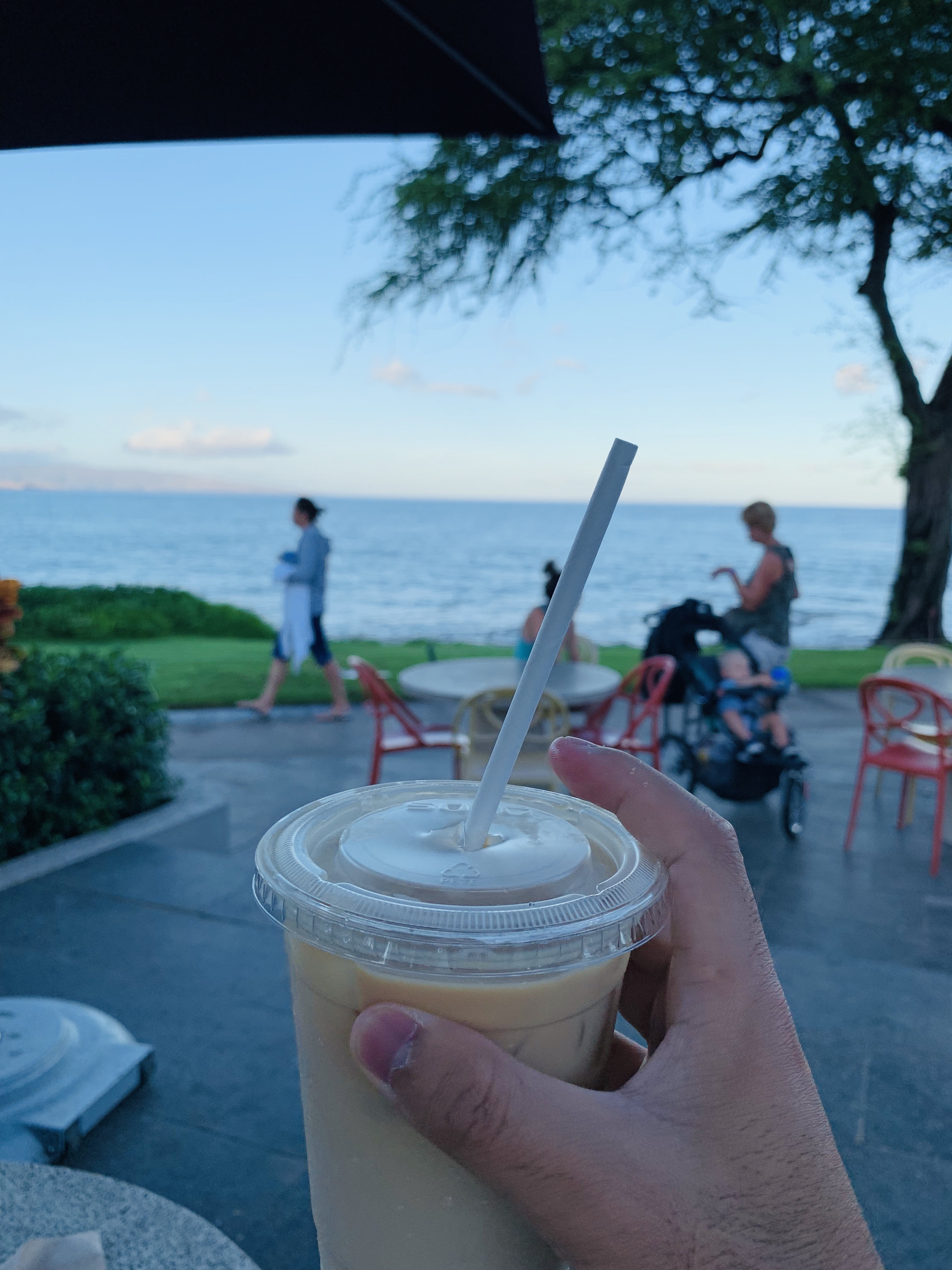 ï˵ wailea