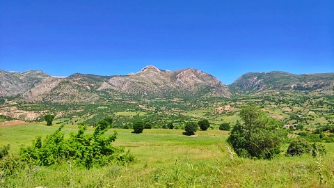 IMG_20190515_145240-01.jpeg