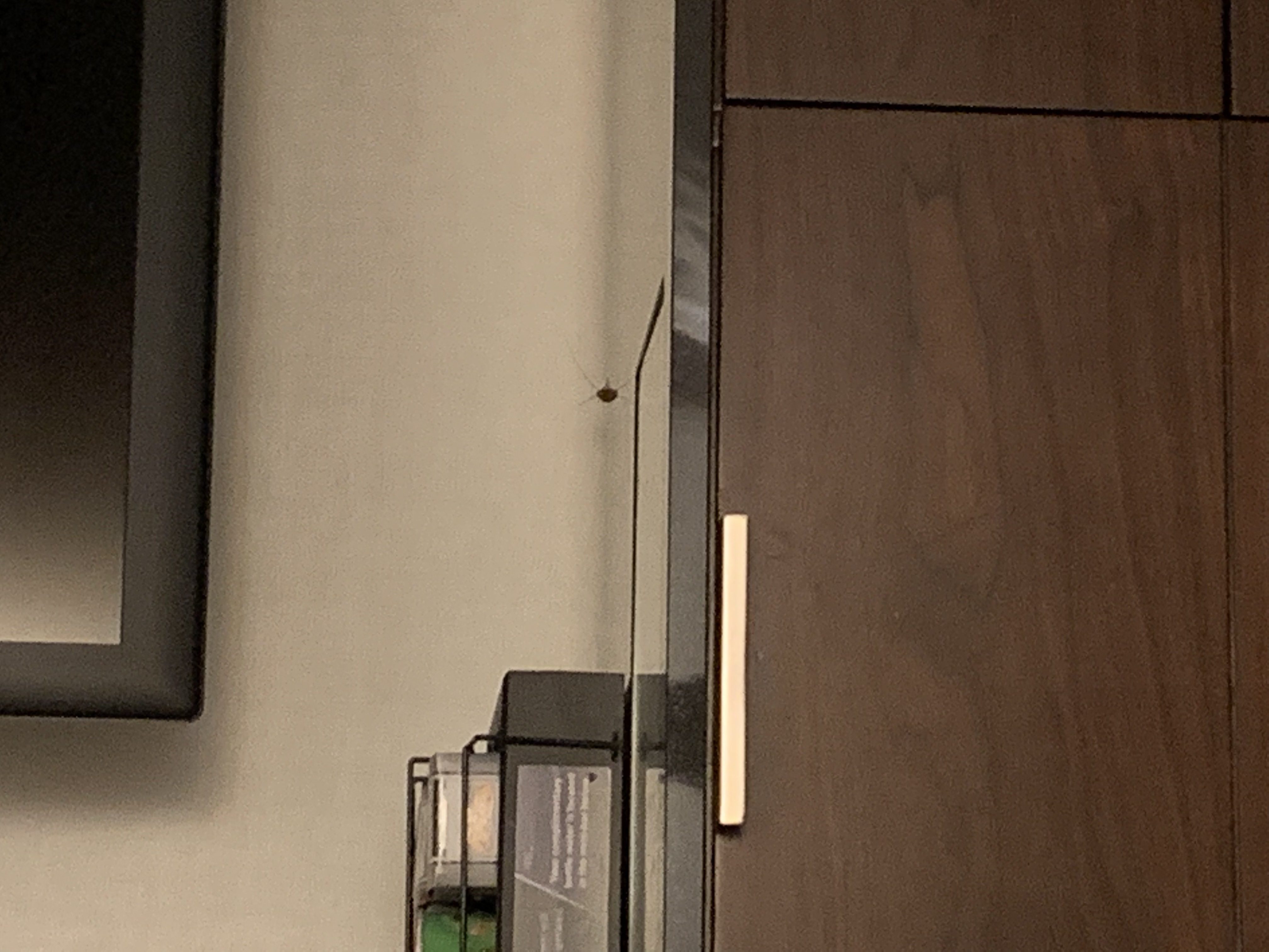 ŦԼ복վ˹͡ͳ