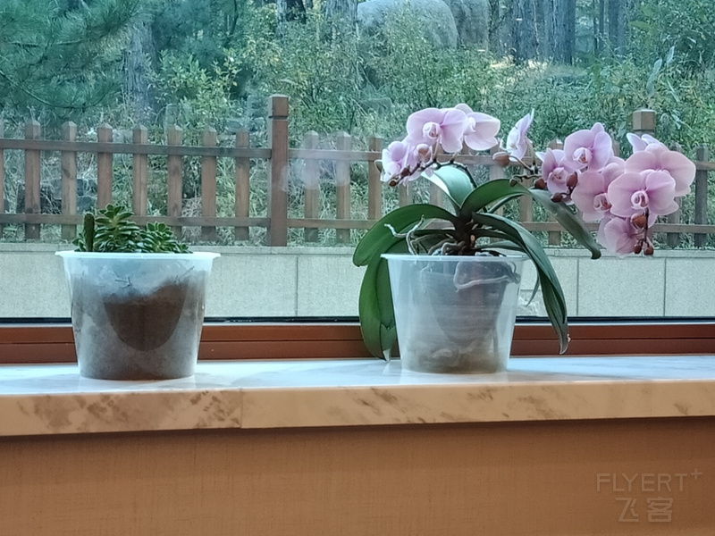 IMG20191001140827.jpg