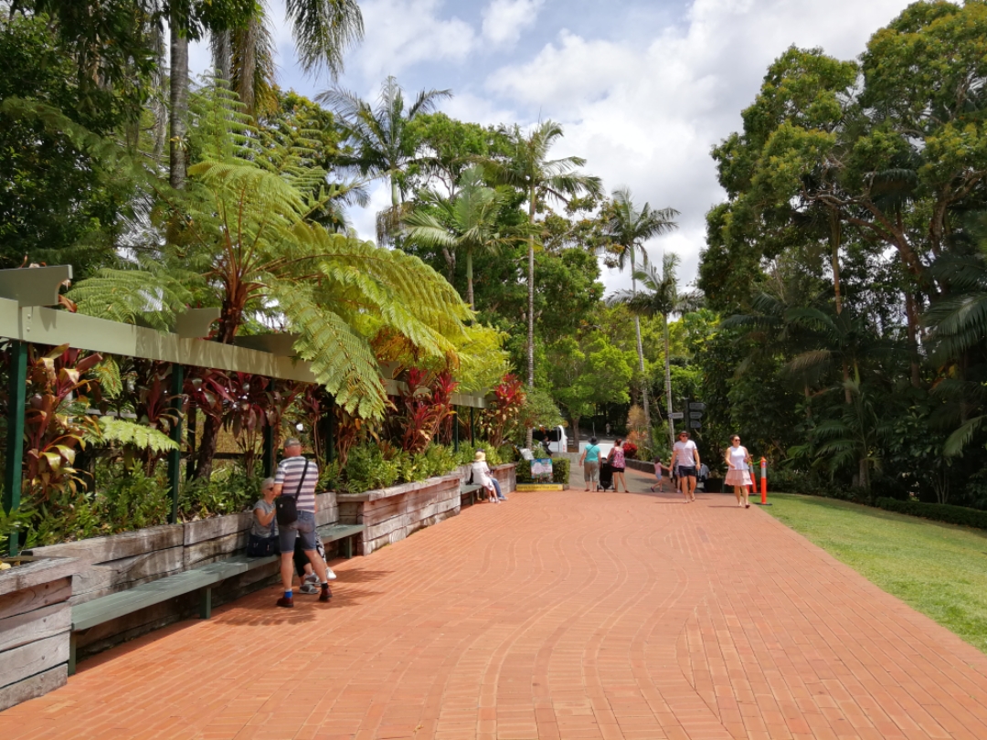 ˹ʾƵ
Pullman Cairns International Hotel