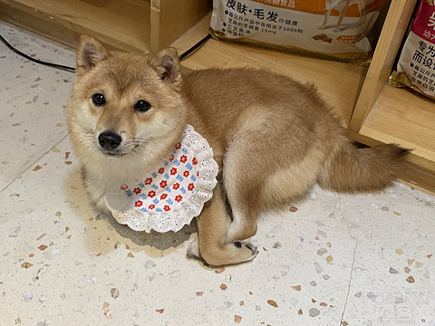 091257DFCFKRYWSPYUFRVB.png