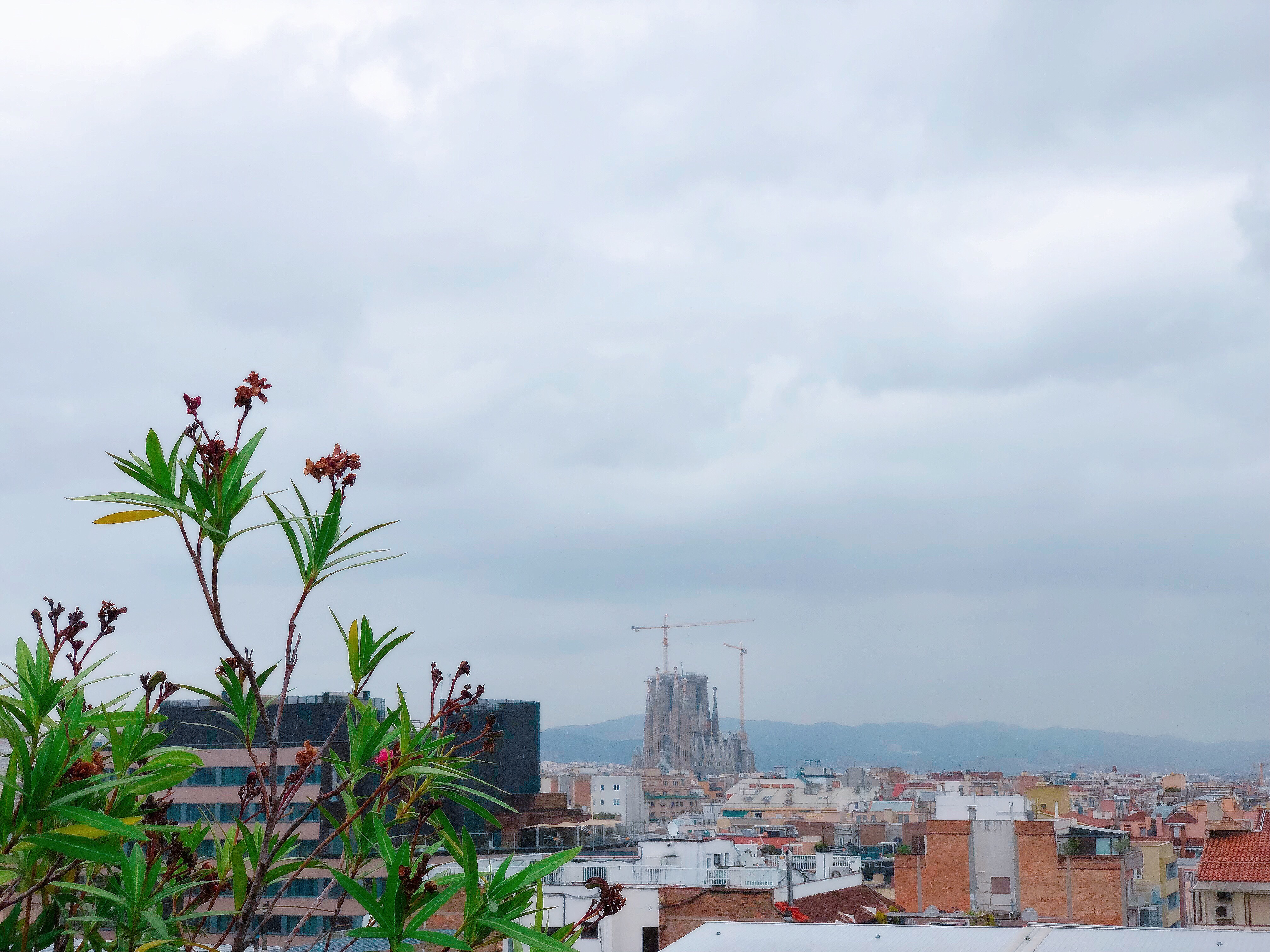 ĻƵ||Mandarin Oriental Barcelona