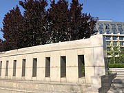 <em>ػʵӻóϲ</em>Ƶ꣺