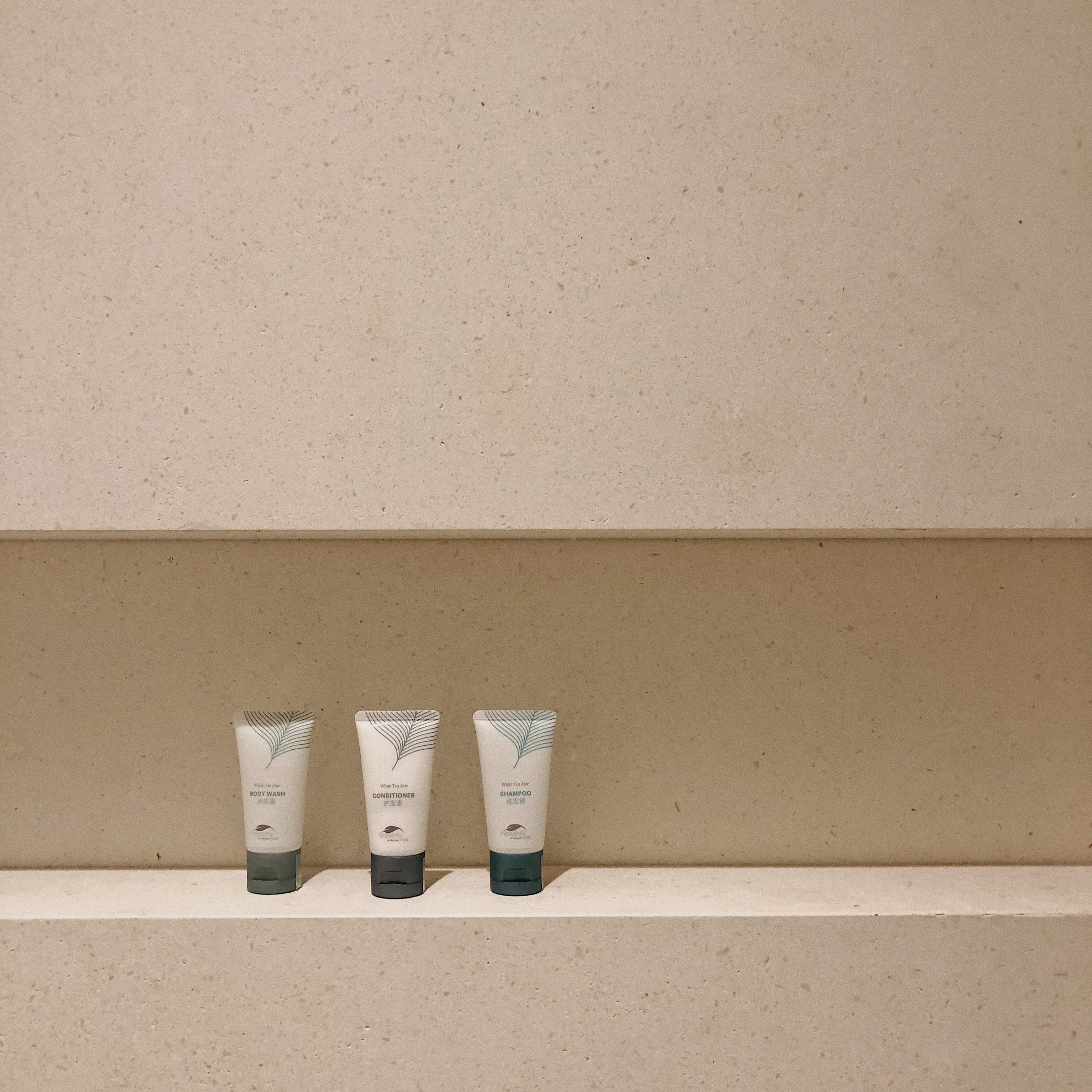 Ƶ Report˹͡ The Westin Blue Bay