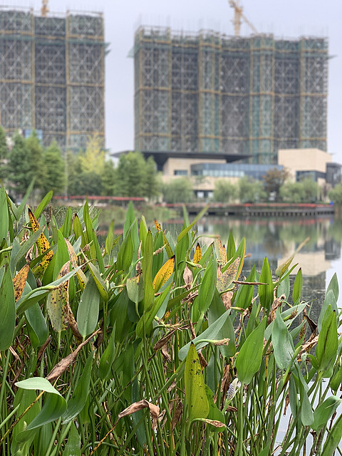 桐乡高铁站凯悦嘉轩酒店详尽入住体验