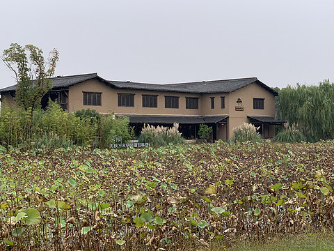 桐乡高铁站凯悦嘉轩酒店详尽入住体验