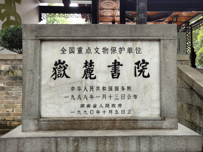 IMG_20190829_125635.jpg