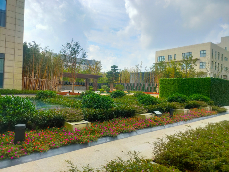 IMG20191013100429.jpg