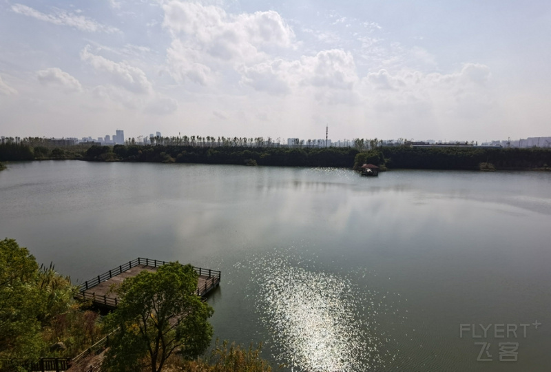 IMG_20191103_122746.jpg