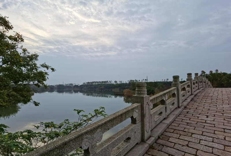 IMG_20191103_071110.jpg